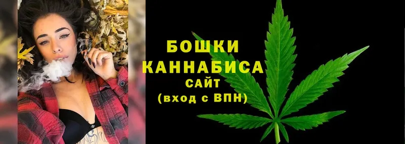 Канабис OG Kush  Гудермес 